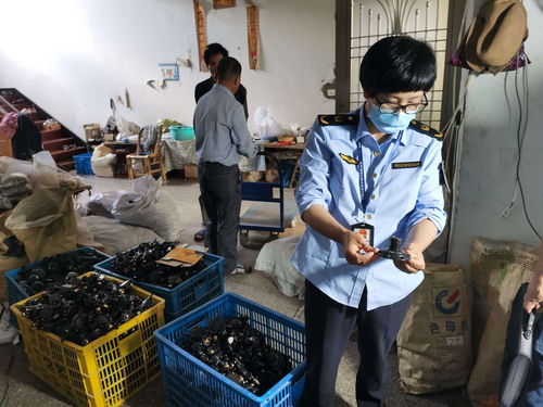 浙江發(fā)布打擊侵權(quán)假冒商品典型案例，化妝品批發(fā)領(lǐng)域成重點(diǎn)