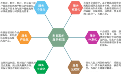 網(wǎng)絡(luò)技術(shù)服務(wù) 構(gòu)筑數(shù)字時(shí)代的基石與橋梁